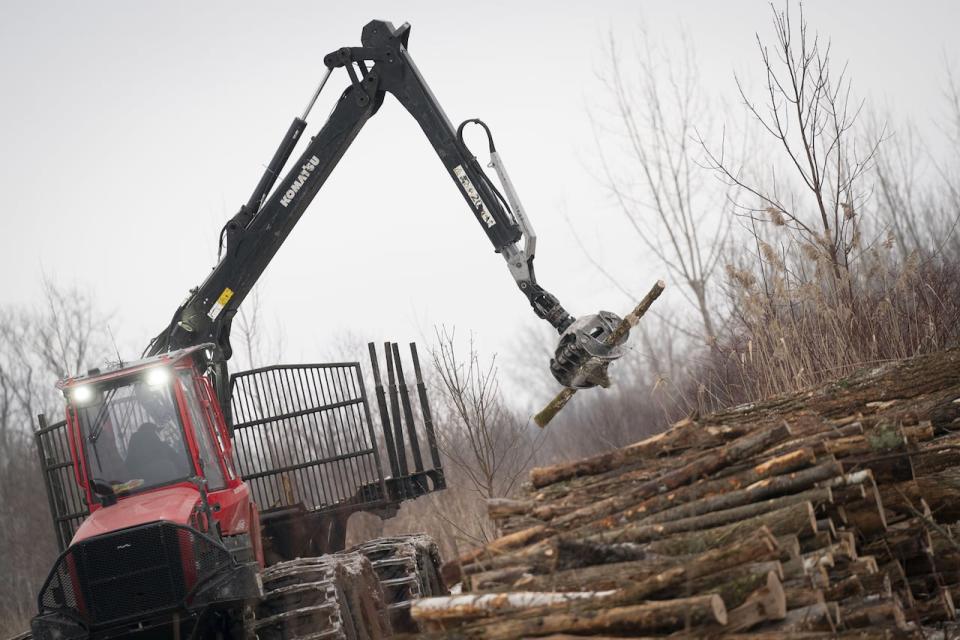 Northvolt has resumed work to clear trees from the site of its future installation in Saint-Basile-le-Grand, Que.
