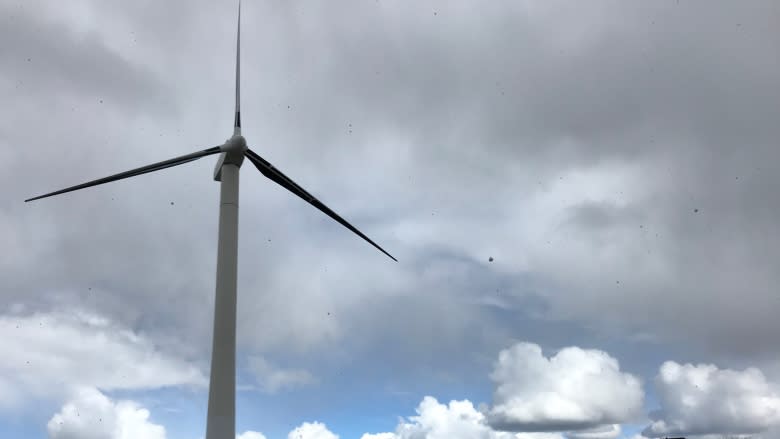 Hydro-Québec reaches draft agreement to buy energy from Apuiat wind farm