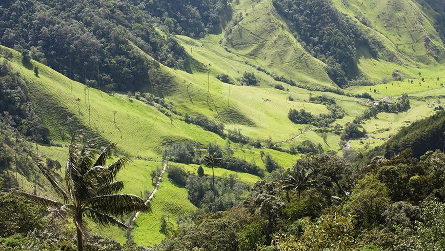 The stunning valley. Photo: iStock