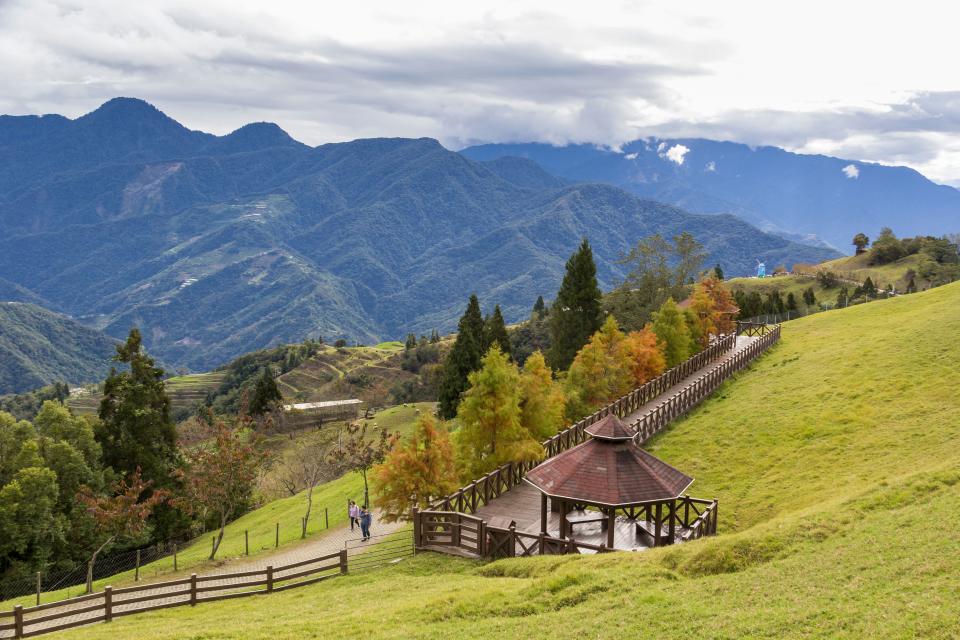 The beautiful landscape of Qingjing Farm in Taiwan with green hills in the background and a wooden walkway surrounded by greenery. (Photo: Getty Images)