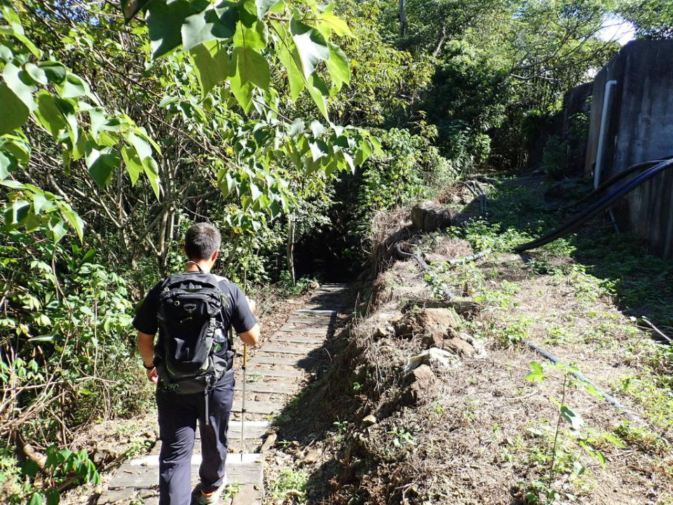 屯阿巴娜步道