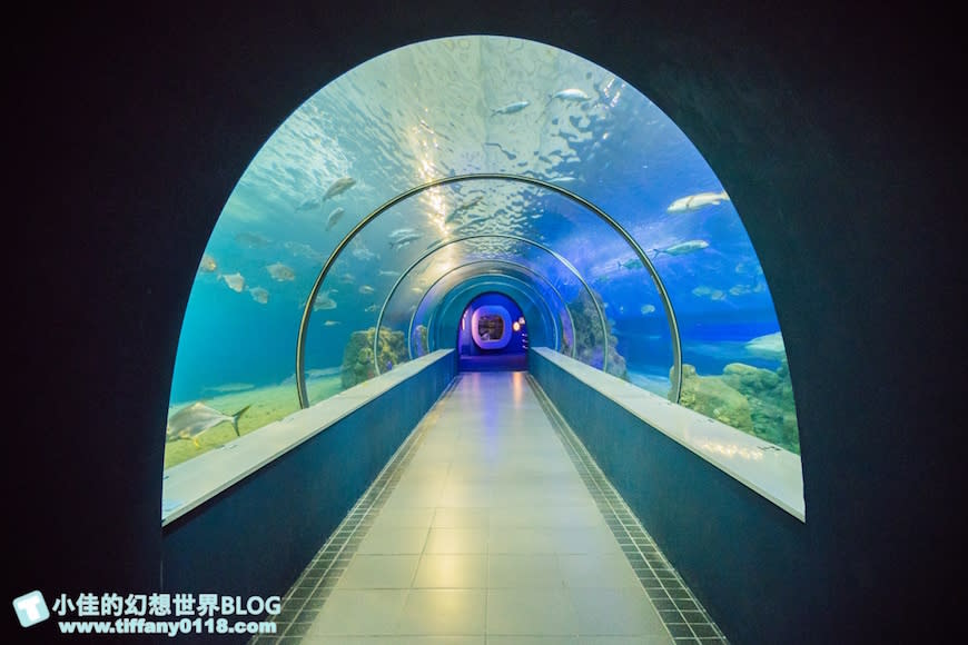 澎湖水族館