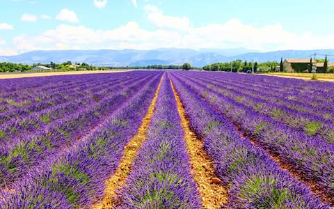 Aix en Provence - Credit: Getty