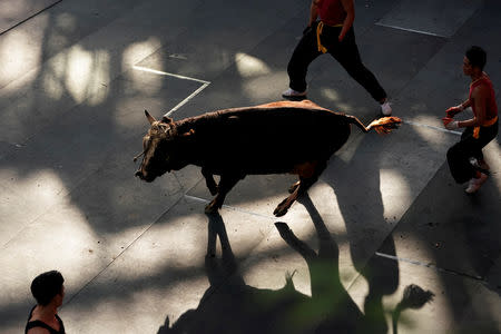 Bullfighters surround a bull to set it up for a bout during a performance in Jiaxing, Zhejiang province, China October 27, 2018. REUTERS/Aly Song