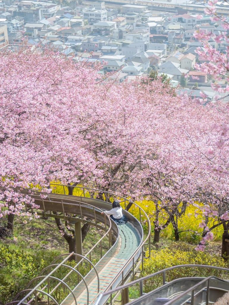 西平畑公園內的長滑梯