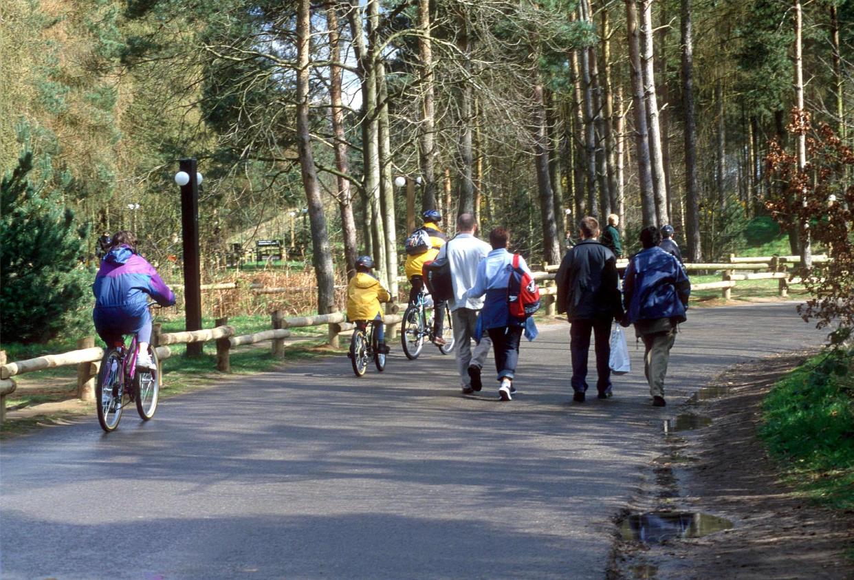 <p>Center Parcs: not like it used to be</p> (Andrew Drysdale/Shutterstok)