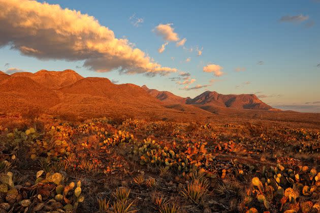 Castner Range, a former Army artillery training facility in West Texas, is home to archaeological sites and a diversity of rare and at-risk wildlife, but is off-limits to the public due to unexploded ordnance. (Photo: Brian Wancho via Getty Images)