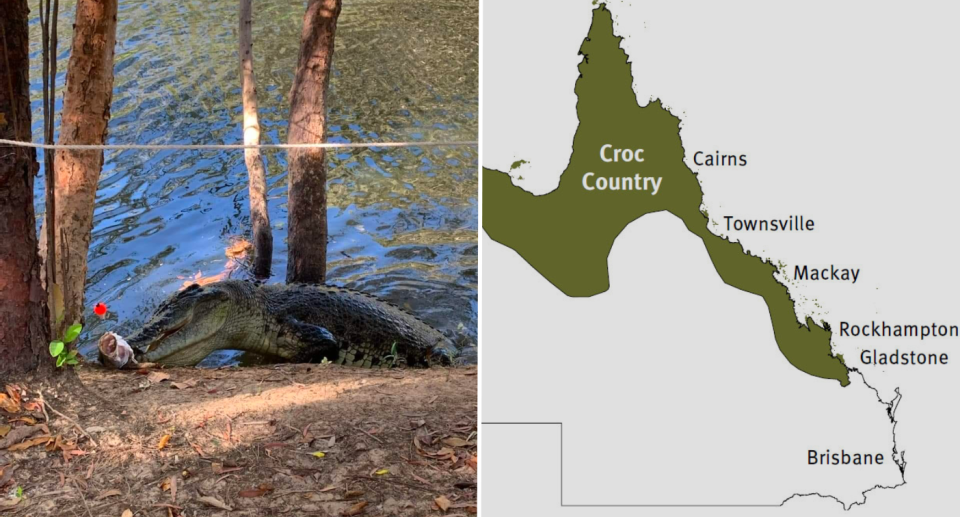 Two images. Left is of a giant male crocodile eating a Barramundi fish off the waters edge with the river behind it. Right is a diagram from the QLD Government with the areas of 'croc country' highlighted in green.