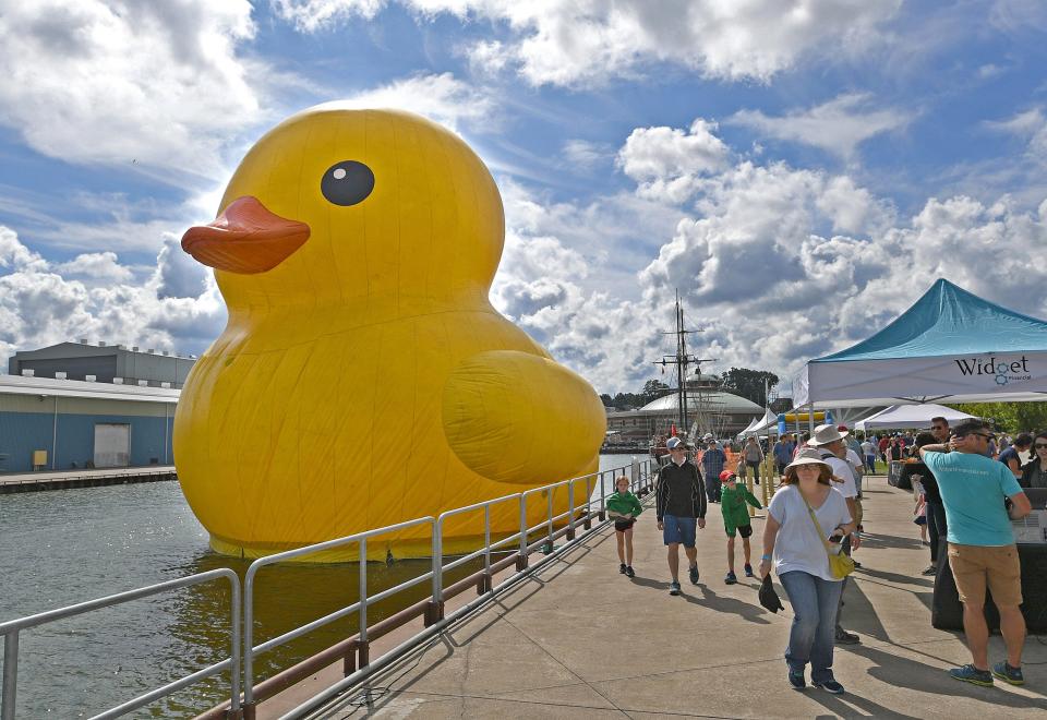 The world's largest rubber duck was on display at the Kids Area at the 2019 Tall Ships Erie festival Aug. 23, 2019, which was held around Dobbins Landing on Presque Isle Bay in Erie. The 61-foot-tall duck was scheduled to be on display through Sunday and is located at the foot of Holland Street. 