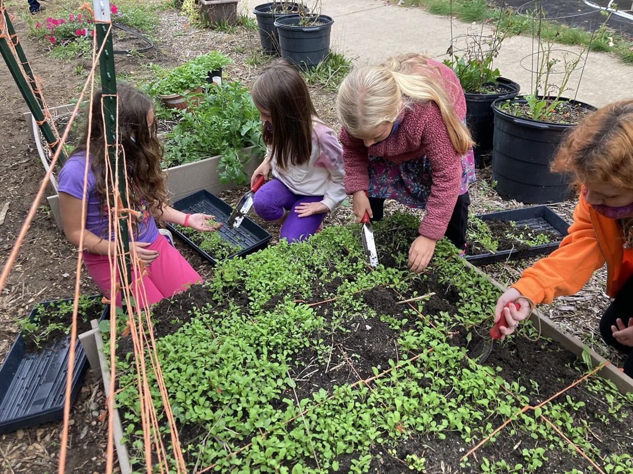 Students and staff work in the East Jordan Elementary School garden, which this year will be aided by the school's Shoe Club 'Seed to Salad' project aimed to improve the garden to be utilized year-round.