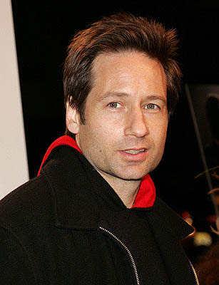 David Duchovny at the NY premiere of Lions Gate's Beyond the Sea