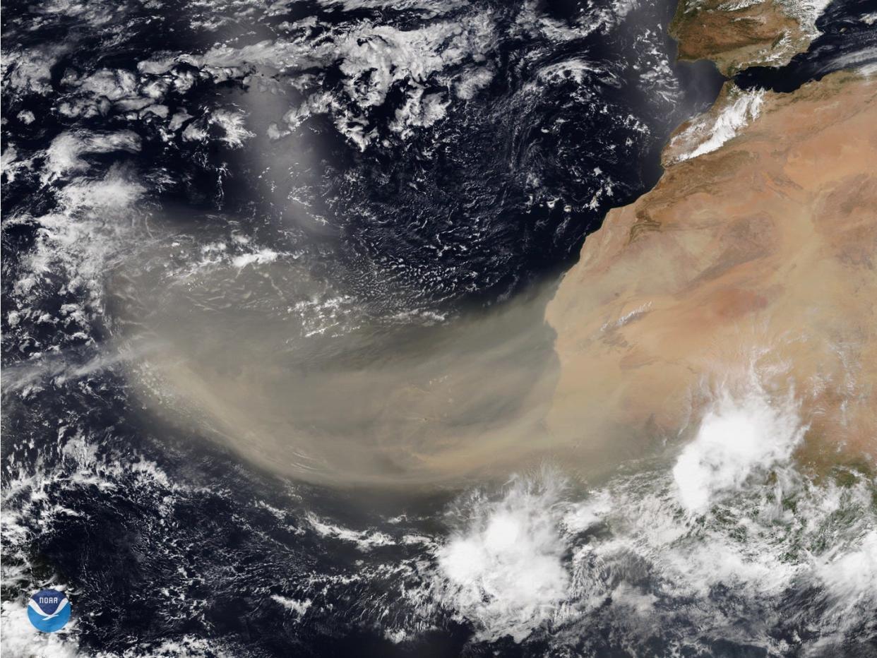 noaa sahara dust