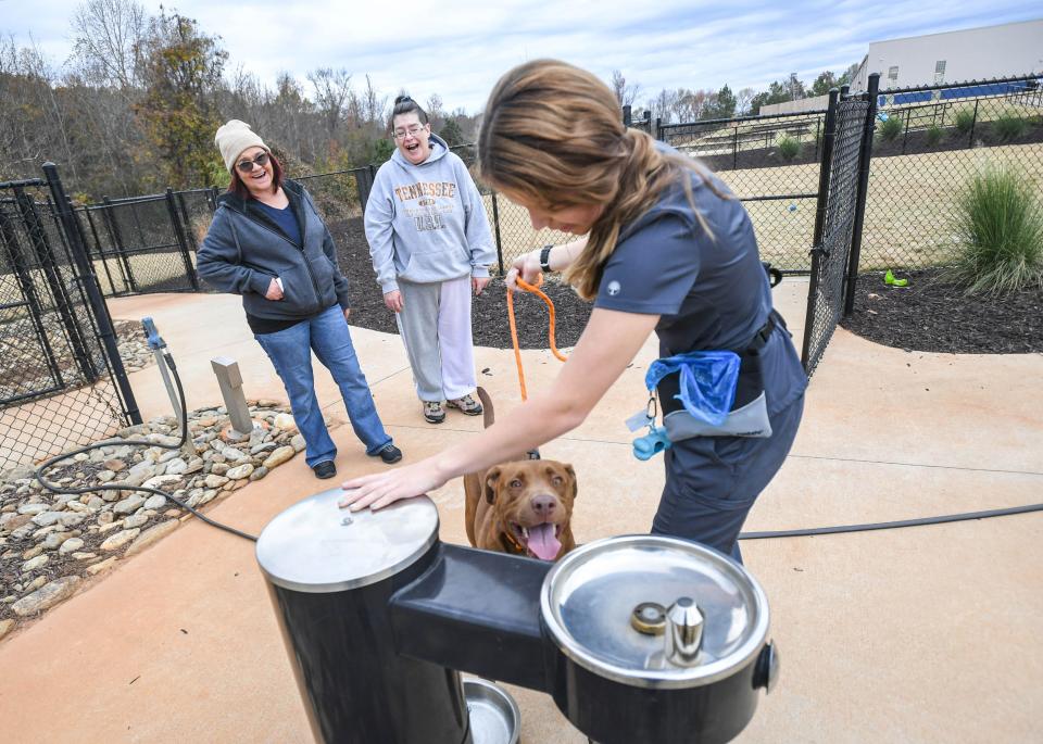 Abby McGuire gives Apollo water near Angie O'Brien and Shadow Blaze at Anderson County P.A.W.S. in Anderson Monday, November 20, 2023. People adopt dogs featured on their social media sites, and help from volunteers promoting adoptions, before Christmas Day.