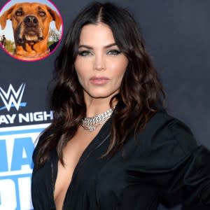 Jenna Dewan Mourns Sudden Loss Dog Violet Mae Sad Beyond Words