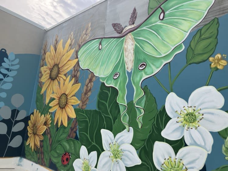 A green luna moth is featured among plants, flowers and other insects at the planned YWCA childcare playground.