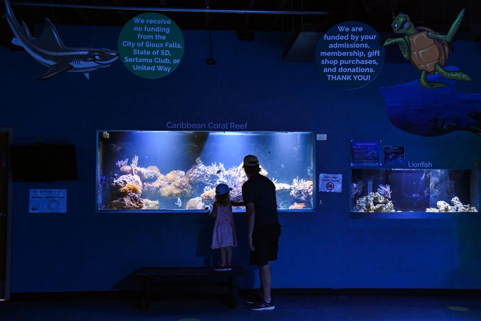 A family explores the Caribbean coral reef tank on Thursday, September 3, at the Butterfly House and Aquarium in Sioux Falls.