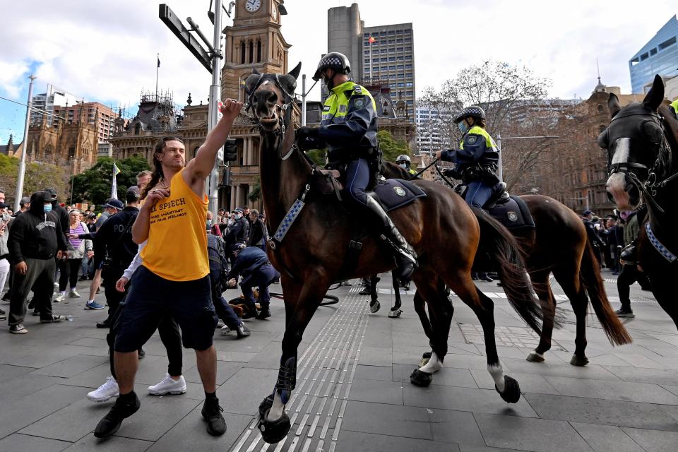 A man appears to hit a horse at Sydney protest.