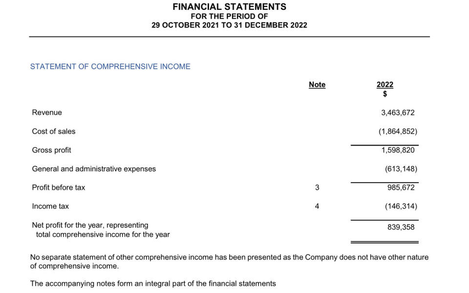 Statement of Comprenhensive Income. (Screenshot: ACRA)