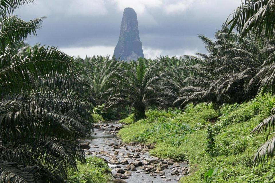 Summit of Pico Cão Grande (iStock)