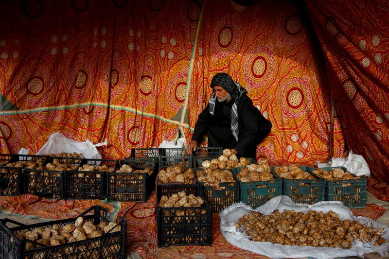 The Wider Image: 'Here it is, the truffle, a blessing from God!'