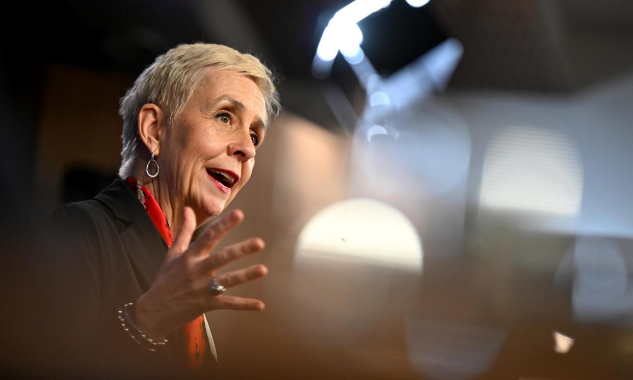 <span>Domestic, family and sexual violence commissioner Micaela Cronin has told the National Press Club ‘systems are weaponised to harm people, and all of our systems can be weaponised’.</span><span>Photograph: Lukas Coch/AAP</span>