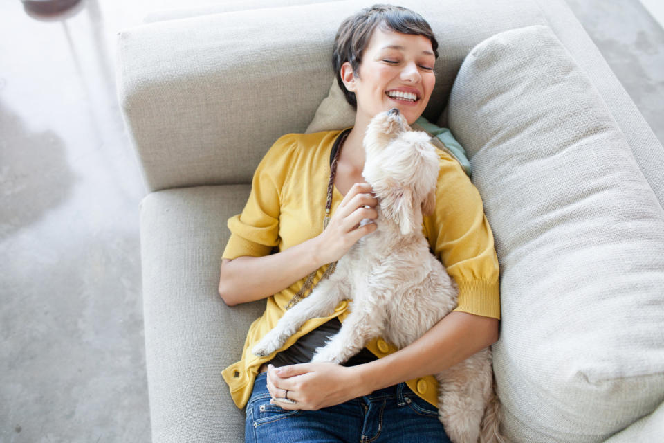 Nos animaux méritent le meilleur (Photo : Getty Images)