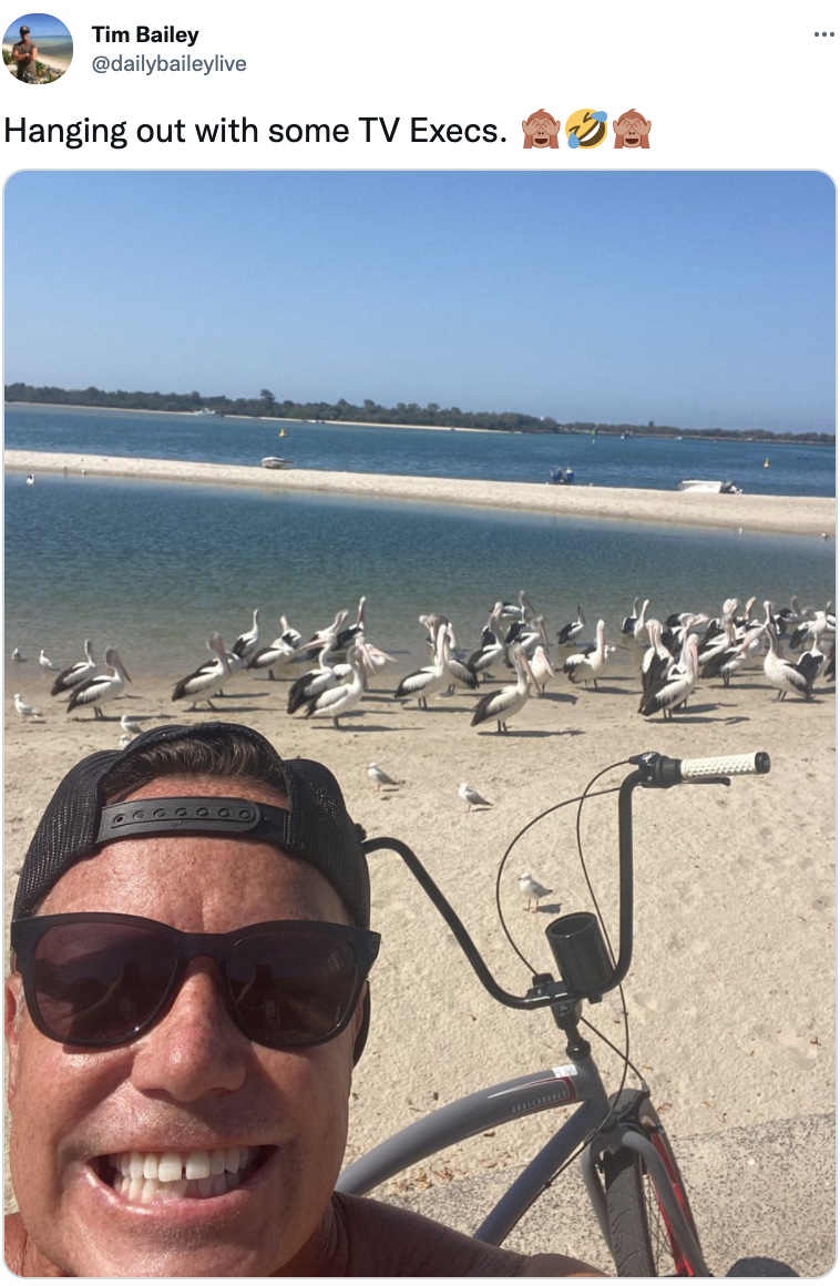 Tim Bailey tweets a photo of himself on a beach near a flock of pelicans