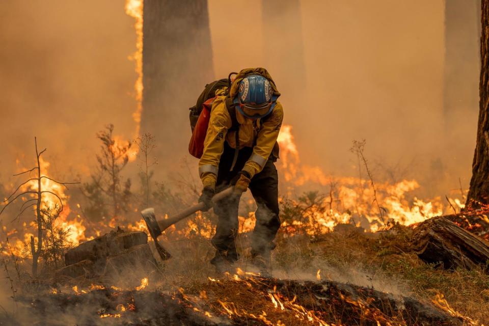 PHOTO: Flames quickly grow as firefighters set a backfire on the eastern front of the Park Fire, which has grown to 360,141 acres and is 12 percent contained, on July 28, 2024 near Chico, California. (David Mcnew/Getty Images)