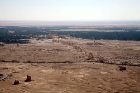 A general view shows the historical city of Palmyra, October 28, 2007. REUTERS/Nour Fourat