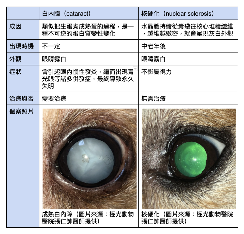 狗狗白內障、核硬化比較。表格整理：Yahoo奇摩毛宇宙