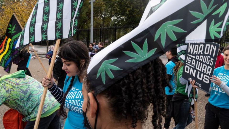 Protesters are seen waving flags bearing marijuana leaves