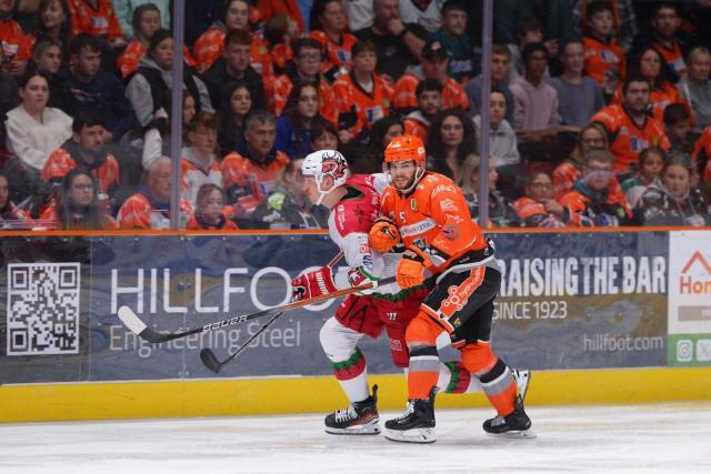 Sheffield Steelers 2023-24 Cup Jersey – Sheffield Steelers Store