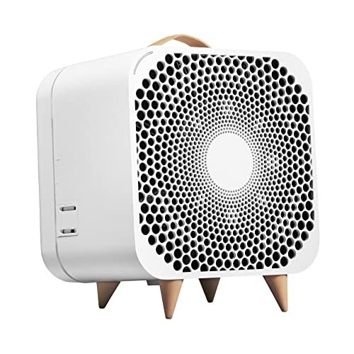 Blueair Pure Fan Auto (Amazon / Amazon)