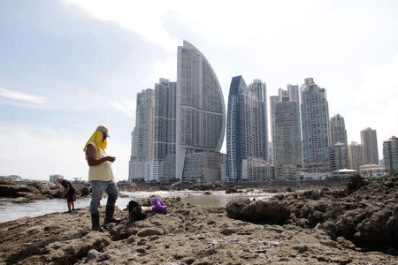 People stand on rocks on the shore during low tide as the Trump Ocean Club International Hotel and Tower Panama (3rd L) is seen next to apartment buildings in Panama City, Panama October 11, 2017. Picture taken October 11, 2017. To match Special Report USA-TRUMP/PANAMA REUTERS/Carlos Lemos