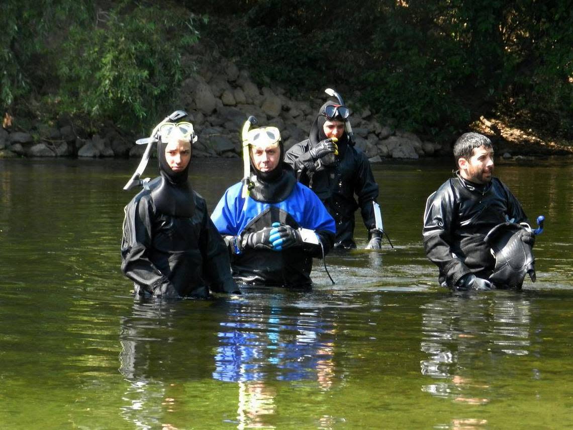 Snorklers count fish on the Stanislaus River at Knights Ferry. They work for Fishbio, a scientific consulting firm that monitors the river for the Oakdale and South San Joaquin irrigation districts.