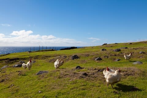 Tristan da Cunha - Credit: Getty