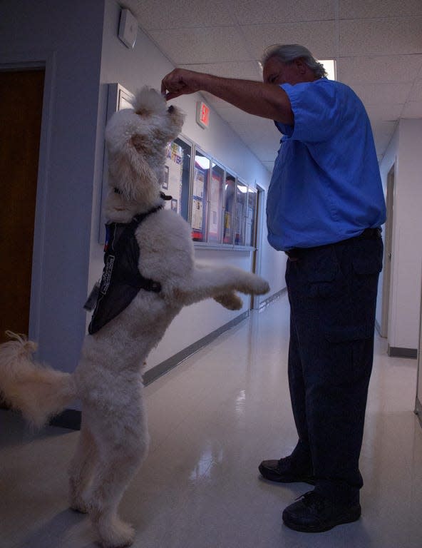 EMT Greg Baggett gives a treat to Tucker, an in-house Therapy dog, at the AMR South Mississippi office in Gulfport on Wednesday, Dec. 1, 2021.