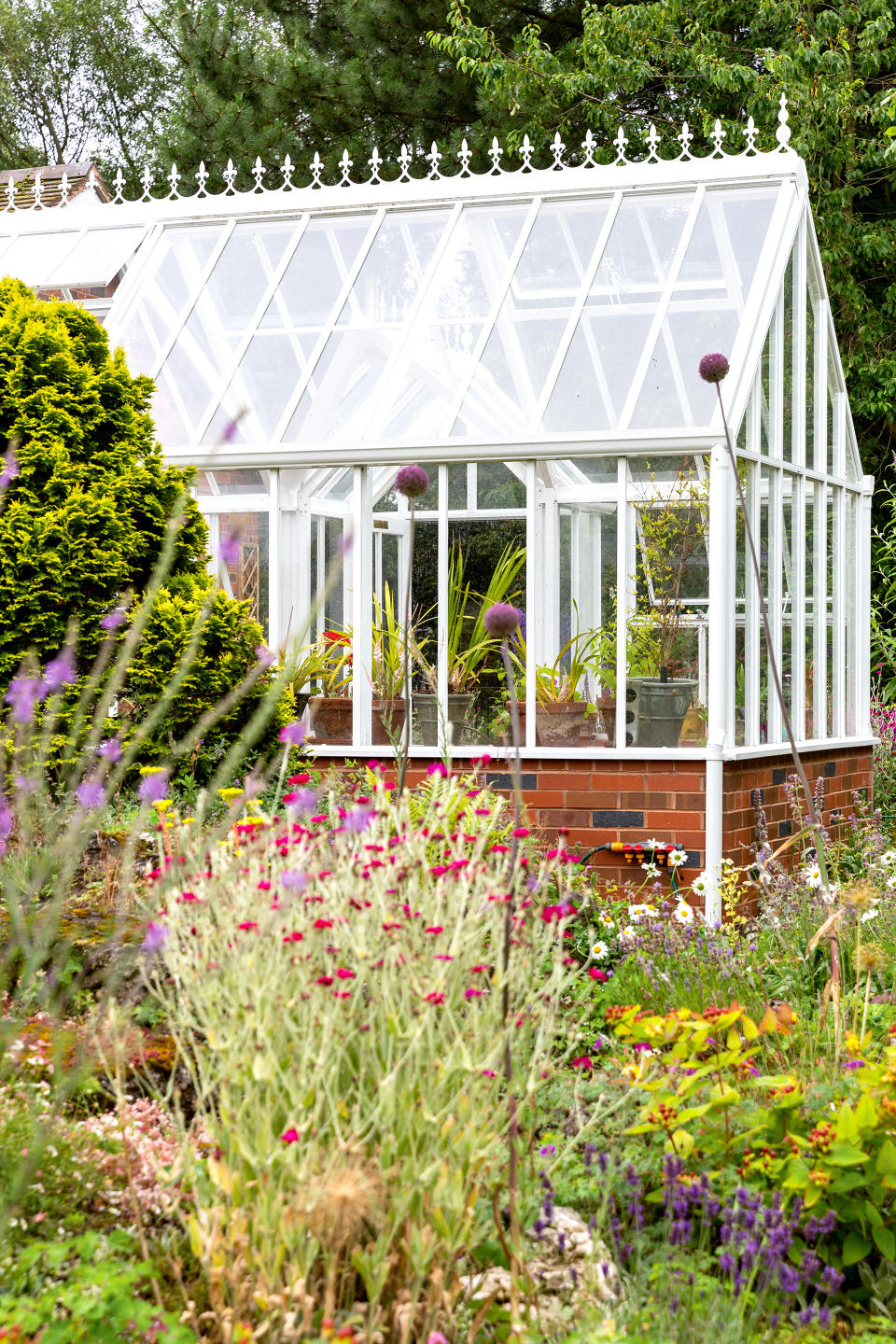 16. Grow your own plants in a greenhouse