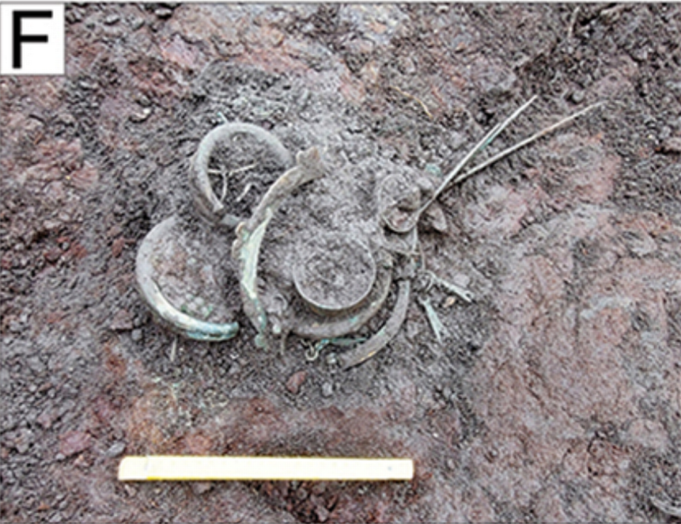Another offering deposits with bronze artifacts found at Papowo Biskupie. Photo from Gackowski, Kowalski, Lorkiewicz, et al. (2024)