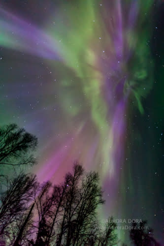 Astrophotographer Dora Miller sent in a photo of an auroral display over Alaska, taken April 20, 2014.