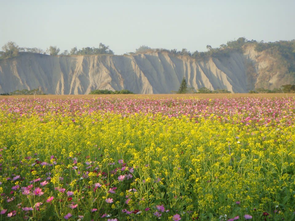 大片花田與遠方山景映襯如仙境般的美景。(圖片來源／走馬瀨農場)