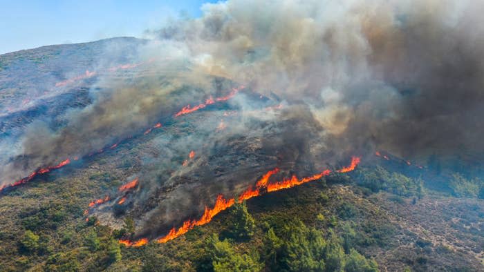 A wildfire in Greece