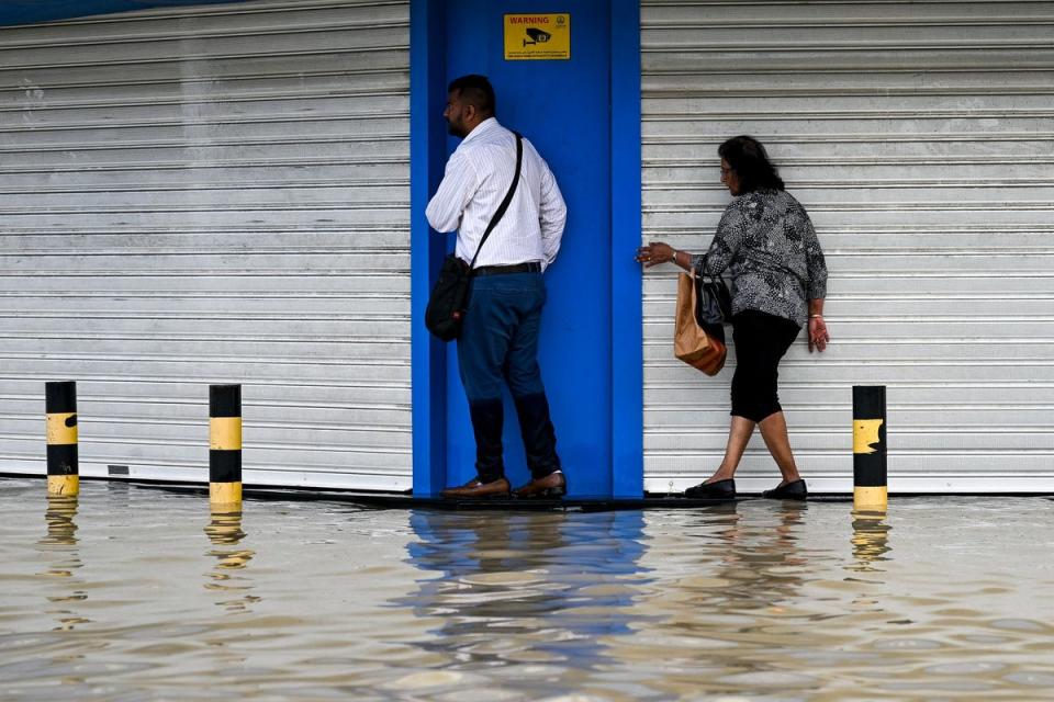  (AFP via Getty Images)