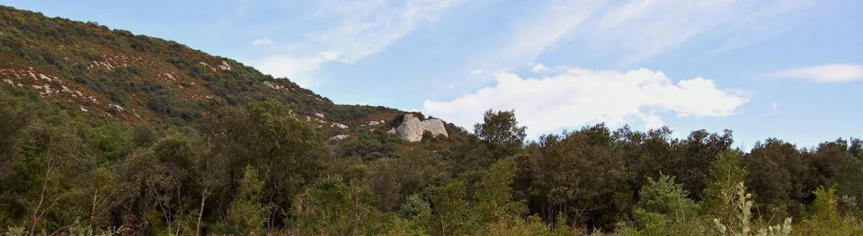 woodsy landscape with rock outcropping against blue sky