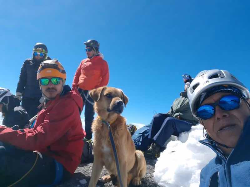 Canelo, a stray mixed breed dog, has been rescued from an inactive volcano by a group of mountain climbers after the pooch was stranded on top for a month. — Picture via Facebook/ Layo Aguilar