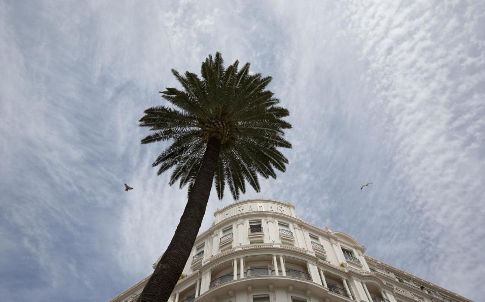 two birds fly near a palm tree at the Miramar Hotel on the Croisette prior to the opening of the Cannes Film Festival in Cannes, France on Monday, May 12, 2014. The Festival will run from May 14-25th. (AP Photo/Virginia Mayo)