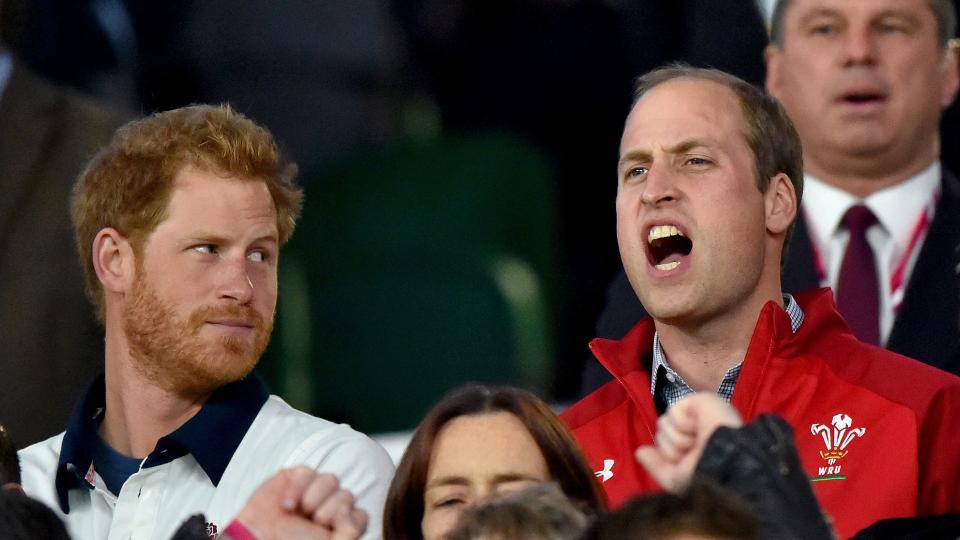 Prince Harry and Prince William