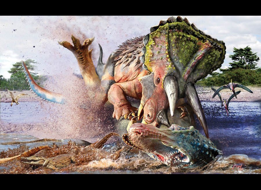 The T-Rex probably preyed on Triceratops, because their territories overlapped 65 million years ago. While the T-Rex had its famous bite to use for a weapon, triceratops' powerful horns were a formidable defense.   Digital Painting/photographic composite. 2011. From the Golden Book of Dinosaurs, by Robert Baker/Rey.