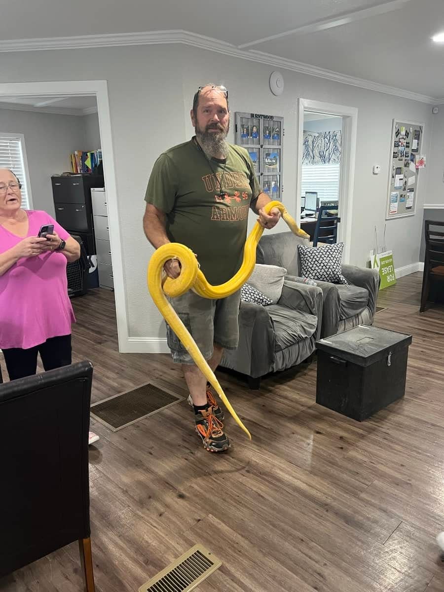 Michael Wilkins, owner of Snakes Alive Exotics Rescue and Sanctuary and co-owner of Oklahoma Exotics Rescue & Sanctuary, holds an albino golden child reticulated python. The python spent months at an Oklahoma City mobile home park until it was captured in October 2023.