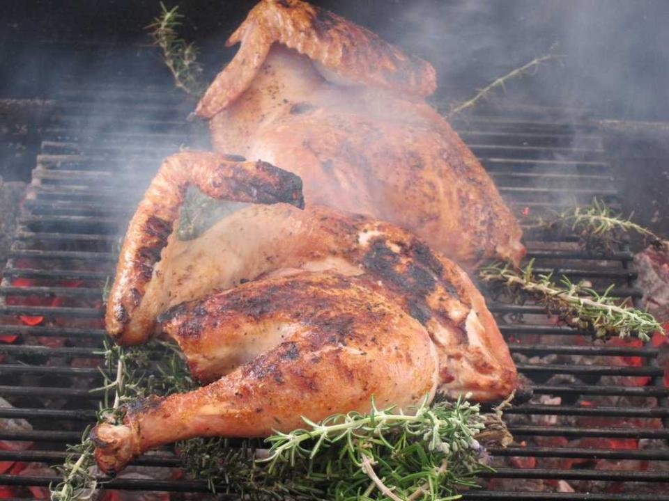 grilled turkey